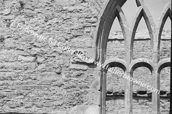 ARDFERT FRIARY SCENES